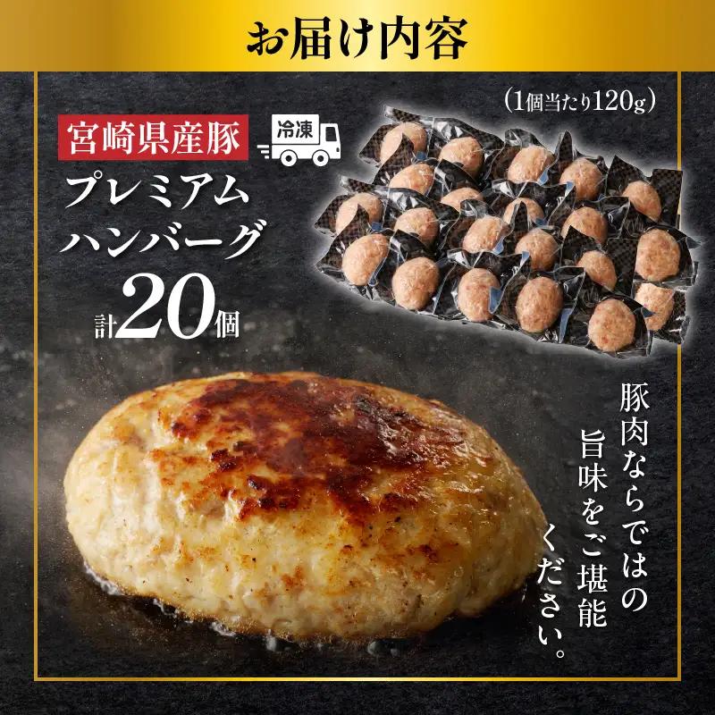 【ふるなび限定】宮崎県産豚プレミアムハンバーグ(計20個) 肉 豚肉 加工品 惣菜 国産_T001-0125