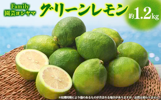 
Family園芸ヨシヤマのグリーンレモン約1.2kg【1469859】
