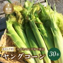 【ふるさと納税】【2025年 先行予約】もぎたて発送！山梨県産 ヤングコーン 30本【栄養たっぷりヒゲ付き！】【炭香ファーム】｜送料無料 とうもろこし トウモロコシ ヤングコーン 野菜 甘い 産直 大好評 とれたて