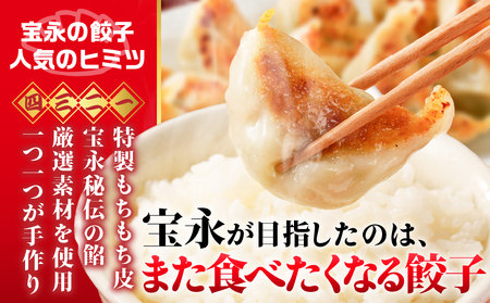 【 全6回 定期便（隔月）】ぎょうざ の 宝永 しそ餃子セット（ 宝永餃子 15個入×2袋＆ しそ餃子 15個入×2袋 ）合計1.5kg T004-T04-03 惣菜 総菜 ギョウザ 餃子 