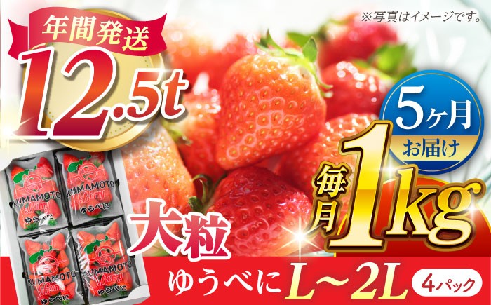 
                  【先行予約】【5回定期便】大粒いちご L〜2L ゆうべに 1kg（4pc）【熊本ベリー】 [ZER016]
                
