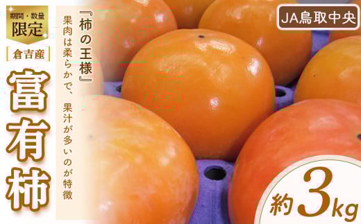富有柿