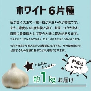 【先行受付】【8月下旬より順次発送】 にんにく　青森県産にんにく（特選品）Lサイズ1kg 青森にんにく