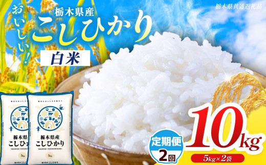 【栃木県共通返礼品】【先行予約】【令和8年度産】【定期2回】 訳あり 栃木県産コシヒカリ 10kg | ふるさと 納税 コシヒカリ お米 精米 白米 玄米 大粒 共通返礼品 送料無料 那珂川町 栃木県