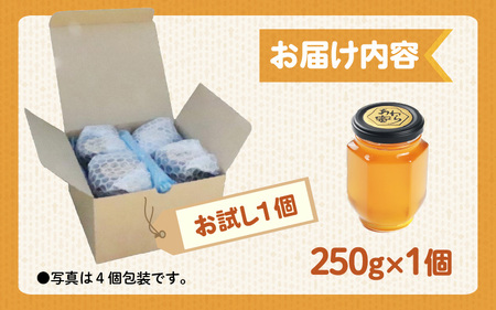 【天然はちみつ】 raw honey あわら蜜 1個 / 非加熱 生産者直送 蜂蜜 ミツバチ 純はちみつ ローヤルゼリー 生はちみつ みつばち [aw101-a001]