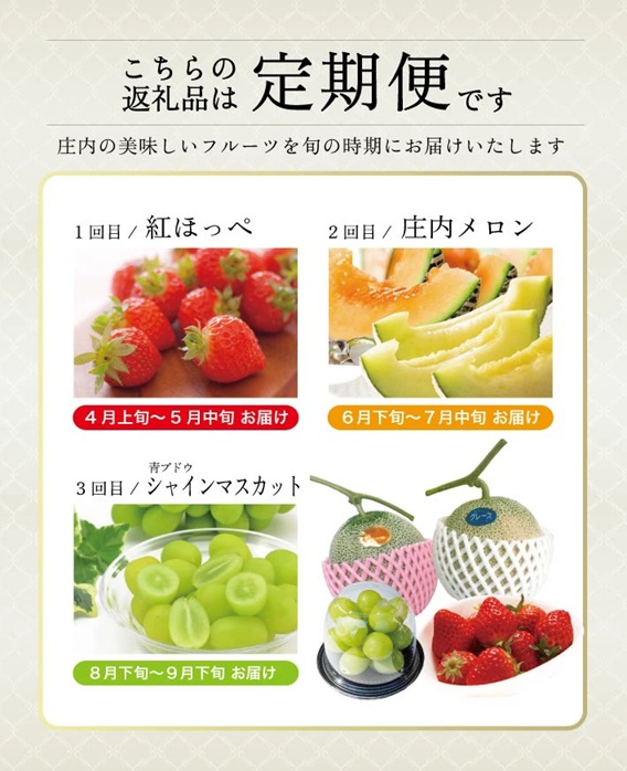 SE0466　【3回定期便】農家直送 おすすめのフルーツ定期便2026 (いちご、庄内メロン、青ぶどう)