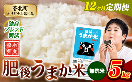 【定期便12回】無洗米 肥後うまか米 5kg 無洗《お申込み翌月から出荷》