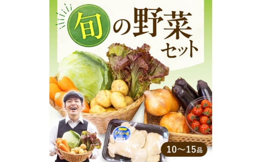 A14 JAグリーン近江 東近江市産 野菜セット 季節 旬 春野菜 夏野菜 秋野菜 きのこ 葉物 果物 果菜 根菜 冷蔵 野菜室 ダイエット 食 栄養食 加工品 カット野菜 野菜セット やさいセット 野菜セット 産地直送 新鮮野菜 グリーン近江農業協同組合