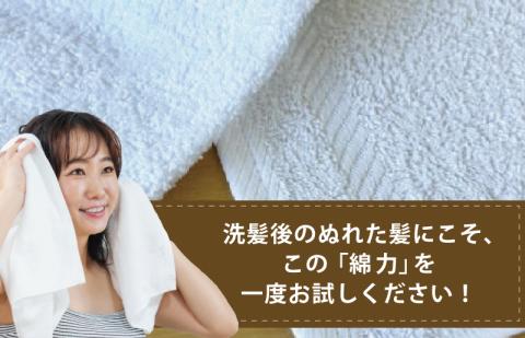 099H2606 高吸水 フェイスタオル 5枚（ホワイト）これぞ綿力 白 泉州タオル