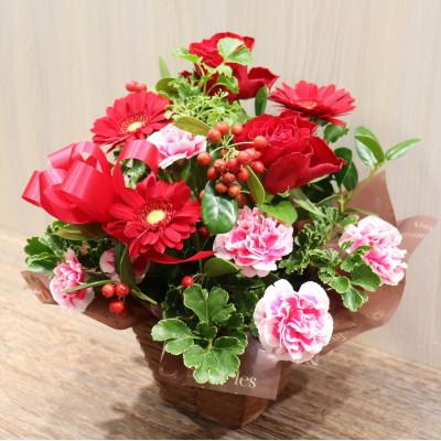 ふるさと納税 ふじみ野市 【レッド系:バラ、ガーベラ+季節のお花】生花アレンジメント |  | 02