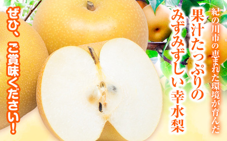 【先行予約】和歌山県紀の川市産 の幸水梨 約4kg （約10玉～15玉）紀の川市厳選館 《2026年7月下旬-8月中旬頃出荷》 和歌山県 紀の川市 果物 フルーツ なし ナシ 