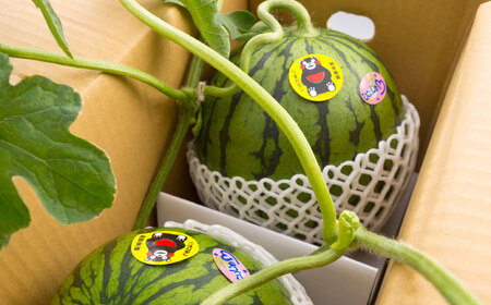 【2026年発送分&nbsp;先行予約】【数量限定】【全3回定期便】 すいか 3種 食べ比べ セット 定期便 計5玉（小玉2 大玉1 黒小玉2） スイカ[AYAB030]