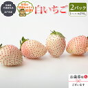 【ふるさと納税】白いちご 約250g×2パック【2025年12月より発送開始】 （ 茨城県共通返礼品：水戸市産 ）田舎の頑固おやじが厳選！ 茨城県 県産 人気 厳選 果物 くだもの 旬 旬の果物 旬のフルーツ ギフト 贈答 いちご イチゴ 苺