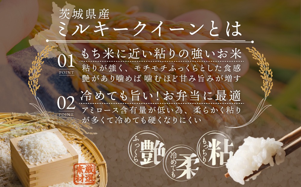 【 最短 翌日発送 】 ＼ 選べる内容量 ／ 【 令和7年産 】 茨城県産 ミルキークイーン 5kg 10kg 五つ星 お米マイスター 監修 こしひかり 国産 こめ コメ 米 精米 すぐ発送 人気 美味しい ランキング ふるさと納税 返礼品
