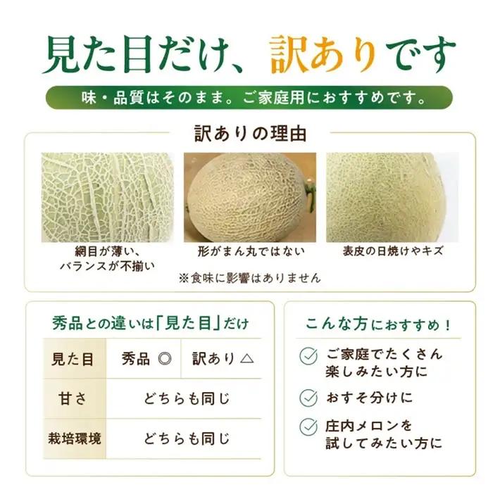 SA2975　訳アリ　青肉メロン　優品　約5kg(3~6玉入)