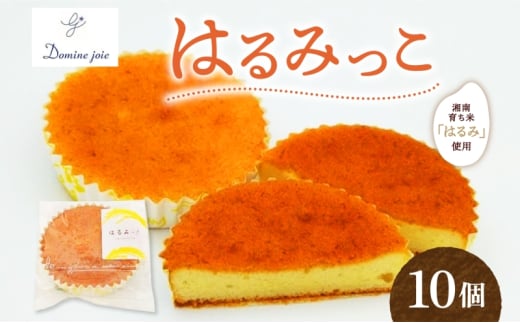 湘南育ち米 はるみ使用 はるみっこ 10個入り 米粉 コッコパラダイス 片倉牧場 ジャージー乳 蜂蜜使用 米粉使用 焼菓子 焼き菓子 お菓子 菓子 デザート スイーツ 個包装 小分け グルテンフリー お取り寄せスイーツ 送料無料 神奈川県 平塚市