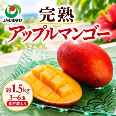【2027年6月下旬から順次発送・贈答用】JAおきなわ厳選 完熟アップルマンゴー1.5kg【配送不可地域：離島】