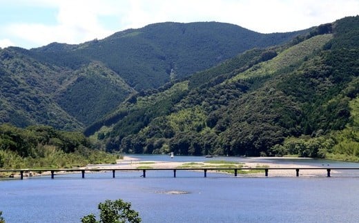 佐田沈下橋