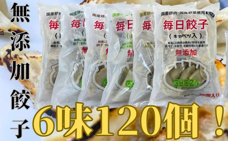 
[№5695-1394]安心安全の無添加冷凍ぎょうざ！6種（キャベツ・唐辛子・ニンニク・野菜・レタス・生姜）合計120個！
