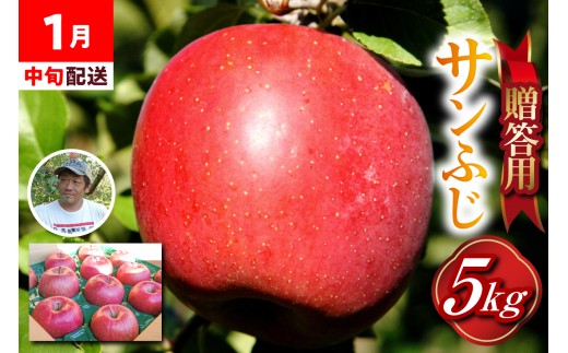 りんご　贈答用 【2026年1月中旬発送】 約 5kg サンふじ 五所川原 金賞受賞歴あり！（りんご品評会）【 青森りんご サンふじりんご リンゴ 林檎 青森 贈答 】