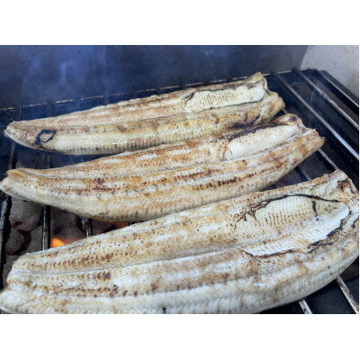 【ふるさと納税】【国産うなぎ】特大サイズ180g-220g　三河一色産　4尾　炭火蒲焼き(タレ付き)【配送不可地域：離島】【1659386】