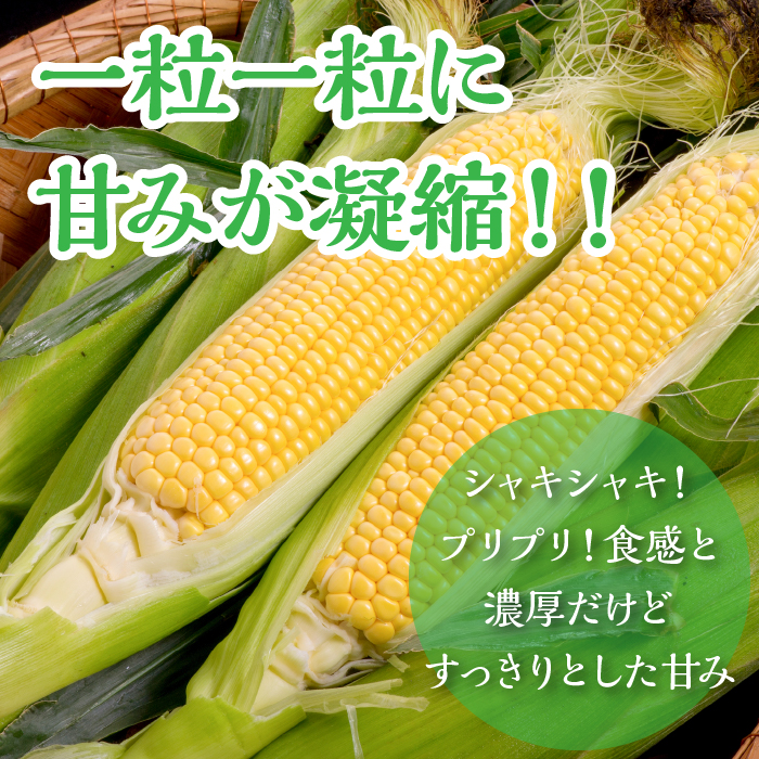 【2024年7月中旬より発送】【数量限定】【期間限定】メロンより甘い！生で美味しいとうもろこし富士恵味１０本セット FAH003