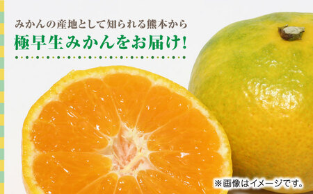 【先行予約】極早生みかん 約10kg　2S〜2Lサイズ　【くまふる】[ZBG054]