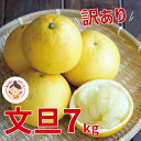 【ふるさと納税】 先行予約 訳あり 文旦 7kg （ Lサイズ 以上 ） 7000円 ぶんたん みかん mikan 蜜柑 ミカン 家庭用 産地直送 国産 農家直送 減農薬 期間限定 数量限定 特産品 ゼリー ジュース アイス 人気 限定 甘い フルーツ 柑橘 おいしい あいなんマザーズ 愛南町 愛媛県