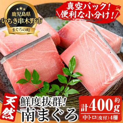 ふるさと納税 いちき串木野市 天然南マグロ 中トロ 100g×4 合計約400g