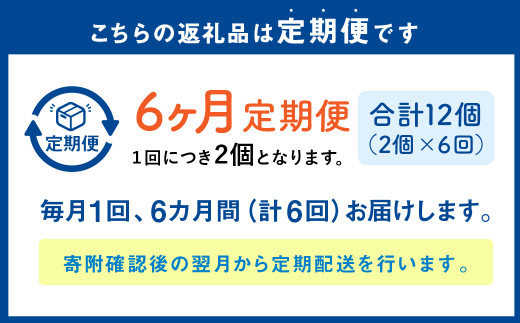 カムカムおこめチップス（しお） ボックスタイプ  （2個×6回）