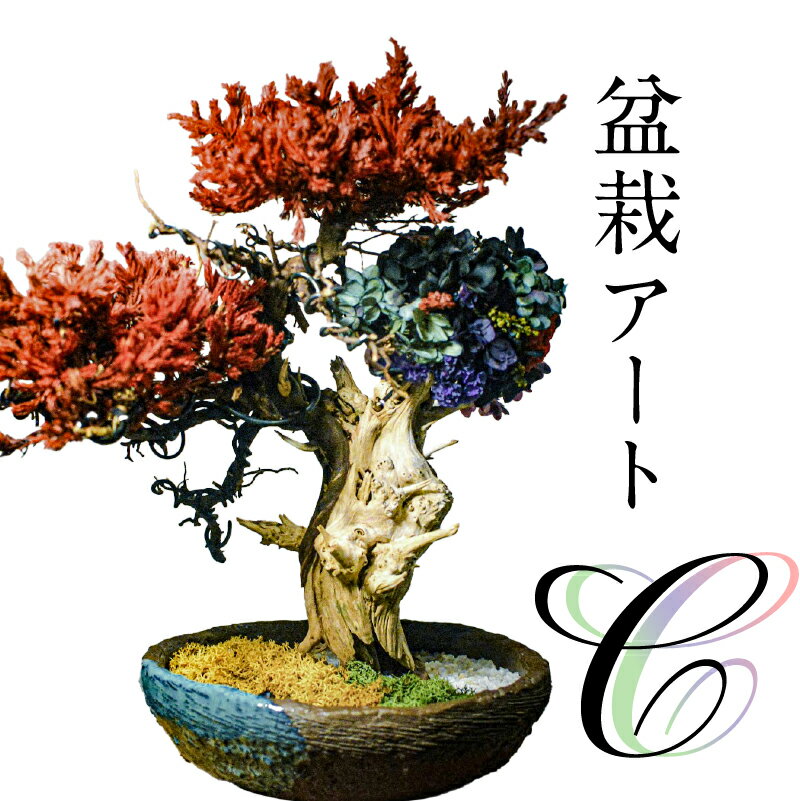 【ふるさと納税】盆栽アート【C】 岐阜県 可児市 盆栽 アート 伝統文化 インテリア ディスプレイ 再生 植物 アート作品 Withers 水やり不要 メンテナンス不要 盆栽アート 日本 伝統 文化 オフィス 自宅 装飾 飾り 送料無料