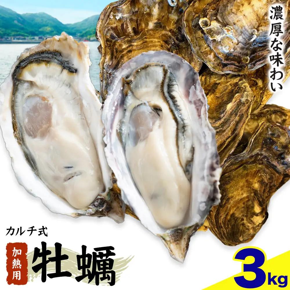 牡蠣 TAKIOKAプレミアム カルチ式 (加熱用) 3kg 牡蠣