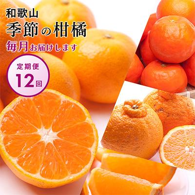 ふるさと納税 日高町 【発送月固定定期便】季節の柑橘定期便A【フルーツ定期便】【和歌山県有田】全12回
