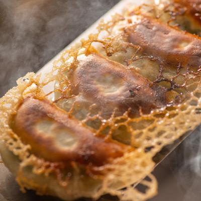 ふるさと納税 藤沢市 藤沢ブランド『みやじ豚』使用の肉汁飛び出す『みやじ豚の金ぎょうざ』(ニンニク入り特製ぎょうざ) |  | 02