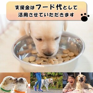 【返礼品相当額で盲導犬の育成を支援】支援額3,000円（記念品あり）盲導犬