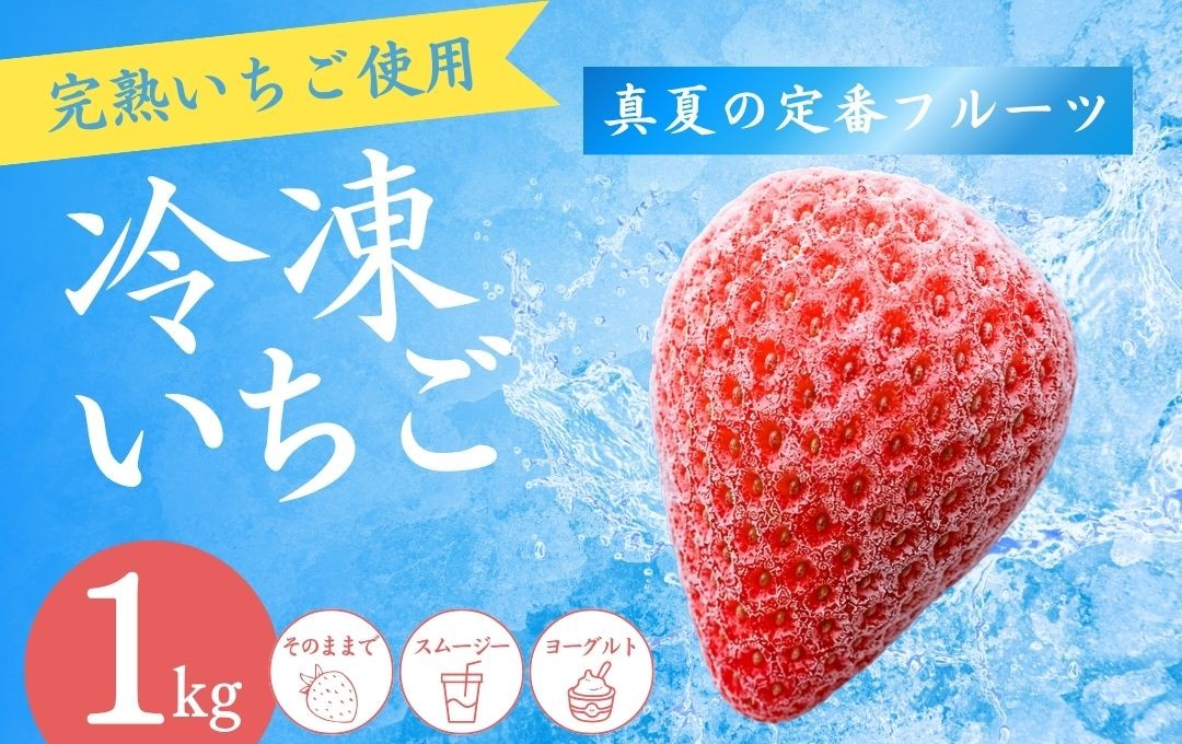 
                  【4～8月発送】【冷凍いちご】 1kg 紅ほっぺ こだわり いちご フローズン 冷凍 イチゴ strawberry 苺 新鮮 朝摘み 朝採り 産直 産地直送 安心安全 ichigo itigo いちご 苺 果物 フルーツ くだもの ギフト プレゼント 贈物 贈答 ケーキ ジャム ふるさと納税 ふるさと納税苺 いちご 静岡県 南伊豆町 南伊豆ファーム <BD-1>
                