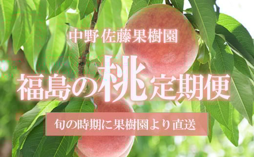No.2222【先行予約】中野/佐藤果樹園 福島の桃３種定期便 各3kg【2025年発送】
