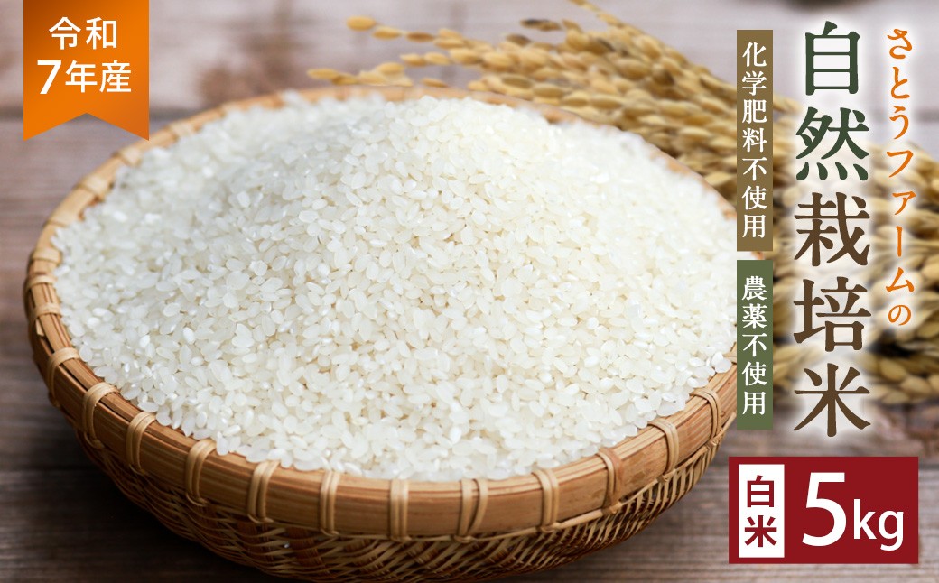 
                  【令和7年産】さとうファームの自然栽培米（白米5kg）白米 お米 ふっくら つやつや おいしい 美味しい 贈り物 単一原料米
                