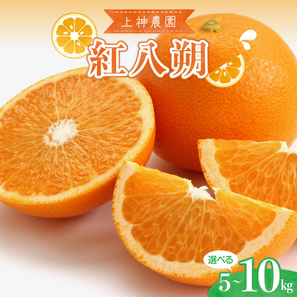 【ふるさと納税】先行予約 上神農園 の 紅八朔 選べる 約 5kg / 約 10kg 【2027年3月上旬～発送】みかん 蜜柑 はっさく ハッサク フルーツ 果物 柑橘 お取り寄せ 産地直送 国産 甘い ジューシー 完熟 酸味 果実 爽やか ジュース 果汁 甘味 香り 大容量 送料無料 広島県 呉市
