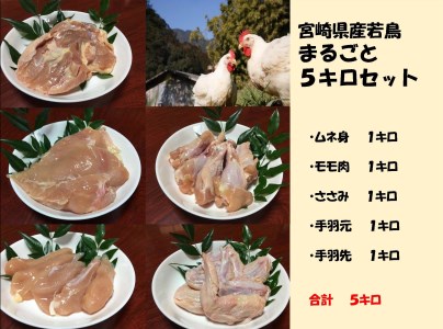 宮崎県産若鶏まるごと5種5kgセット【C135】