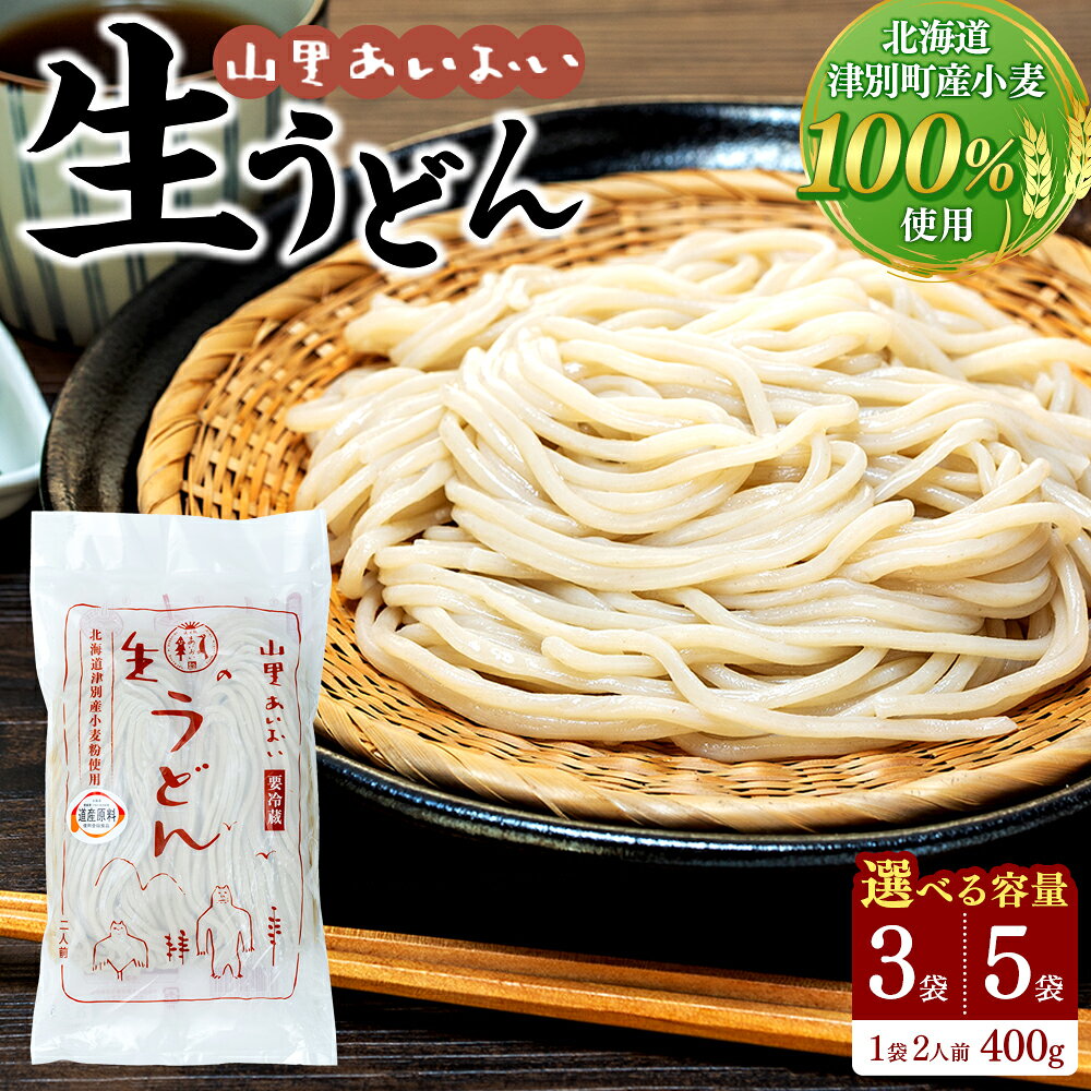 【ふるさと納税】山里あいおい 生うどん（1袋2人前）5袋入り | うどん ふるさと納税 北海道 特産品 お取り寄せ グルメ ご当地 国産小麦 つるつる のどごし 喉越し コシ 鍋 焼うどん 産直 簡単 調理 北海道 津別町