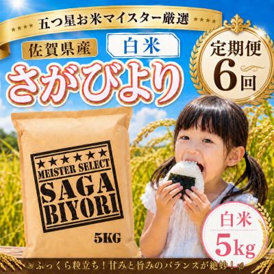 ふるさと納税 大町町 【毎月定期便】『さがびより』白米5kg(大町町)全6回