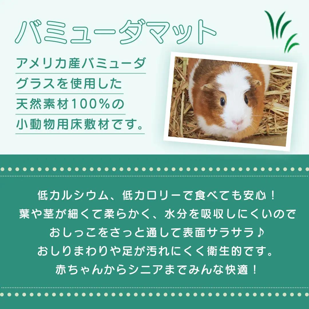 小動物 の バミューダマット 600g × 4袋 小動物用 敷材 バミューダグラス [BU027sa]