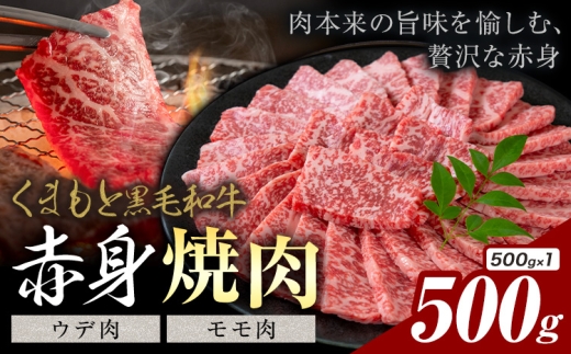 黒毛和牛 赤身 ウデモモ 焼肉 500g《30日以内に出荷予定(土日祝除く)》熊本県 氷川町 牛 牛肉 和牛 ブランド牛