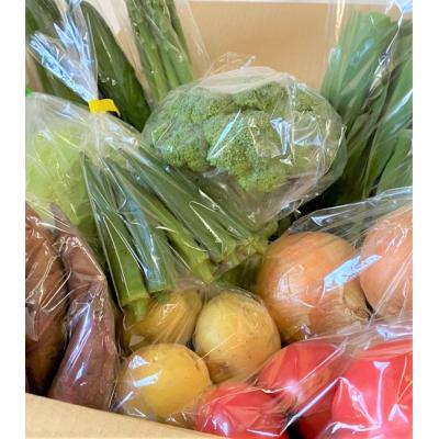 ふるさと納税 倉吉市 季節のお野菜セット(7〜10種) 野菜 やさい 国産野菜 野菜詰め合わせ |  | 01