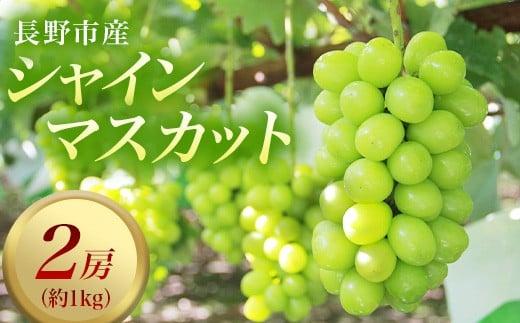 
            J0821 長野市産シャインマスカット2房（約1kg）【2026年9月中旬以降の出荷分】（本気農場いけだ）
          