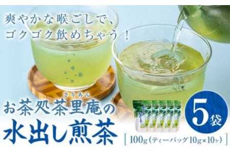水出し煎茶 100g(10g×10個)  5袋 お茶処茶里庵 さりあん《90日以内に出荷予定(土日祝除く)》徳島県 美馬市 お茶 茶 緑茶 日本茶 煎茶 深蒸し煎茶 深蒸し 水出し ティーバッグ ティーパック