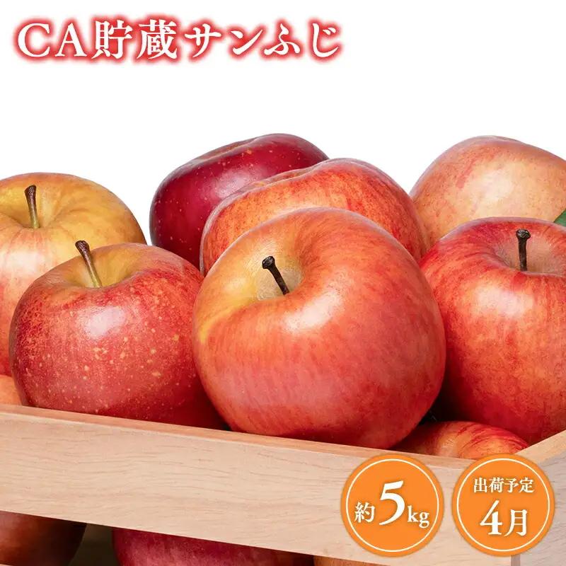 4月発送 訳ありCA貯蔵サンふじ 約5kg  青森県産りんご[hi-0009-010]