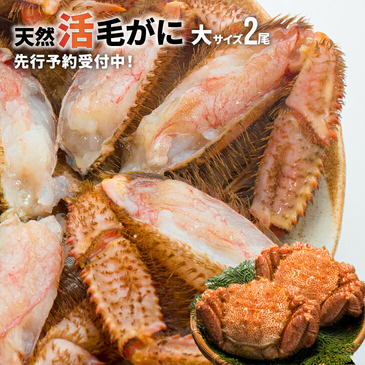 【ふるさと納税】【先行受付開始！】漁協の活毛がに 大サイズ2尾セット※日付指定対応不可※[02-507]※離島・沖縄県発送不可※ 北海道 浦河 ふるさと納税 北海道産 浦河産 天然 極寒 毛蟹 毛がに カニ 活 2尾 送料無料