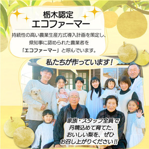 栃木県産梨 にっこり 3kg